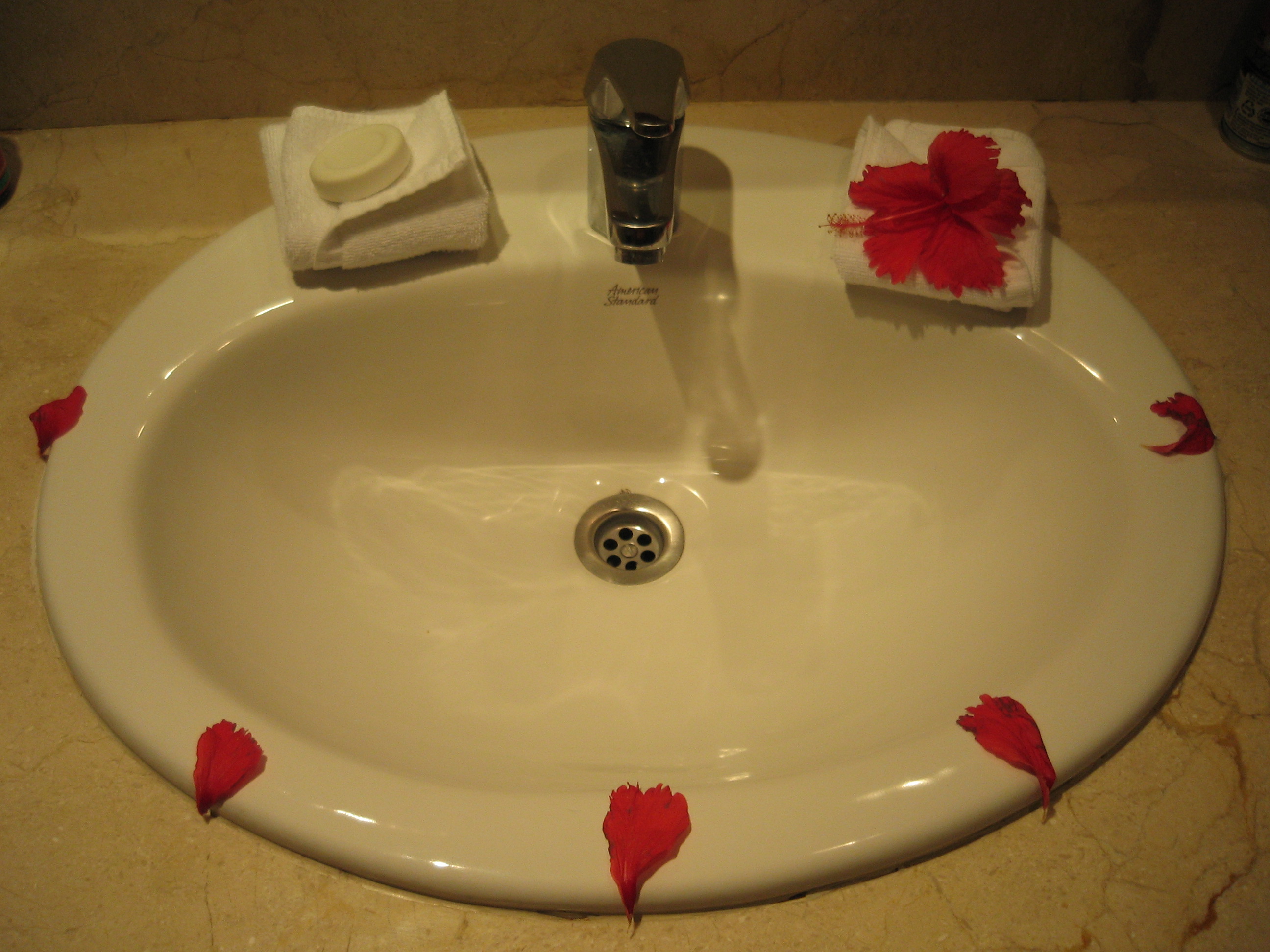 flowers around the sink